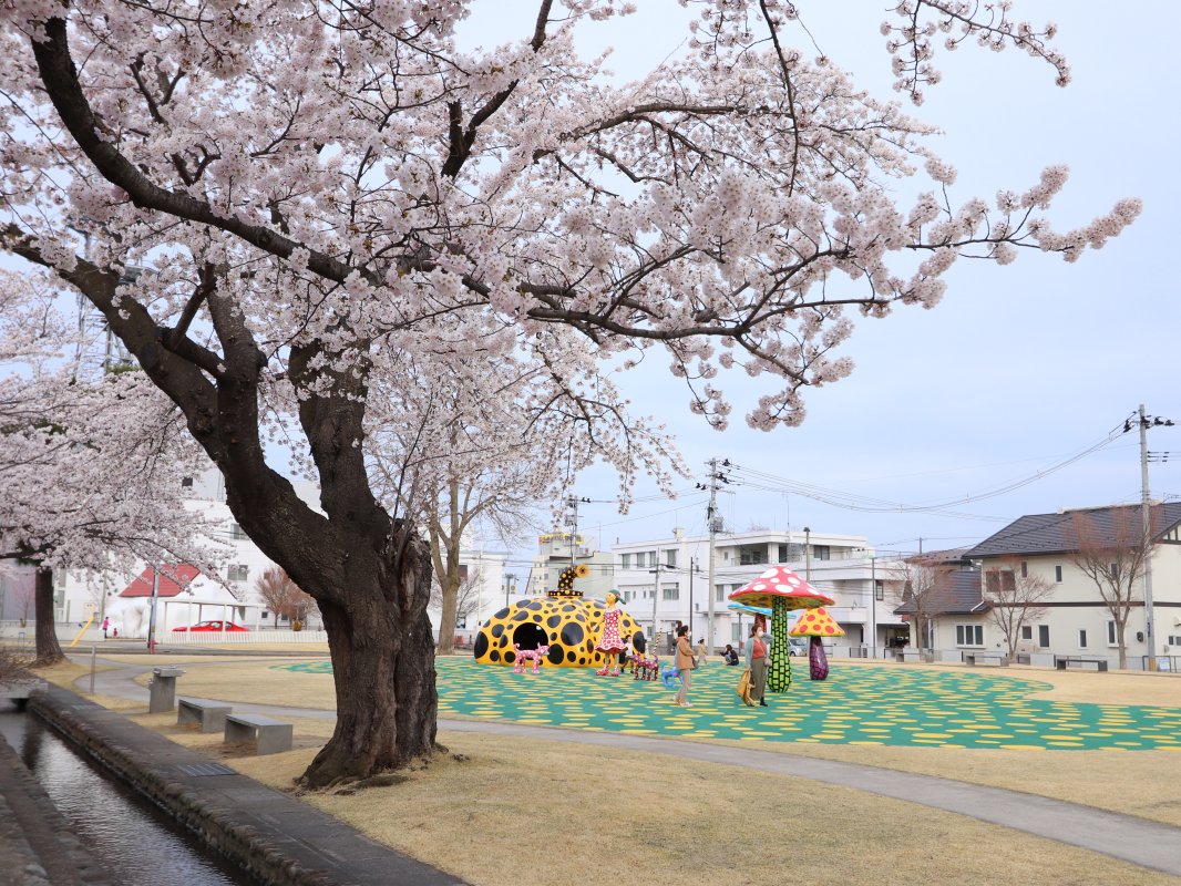 アート広場　草間彌生