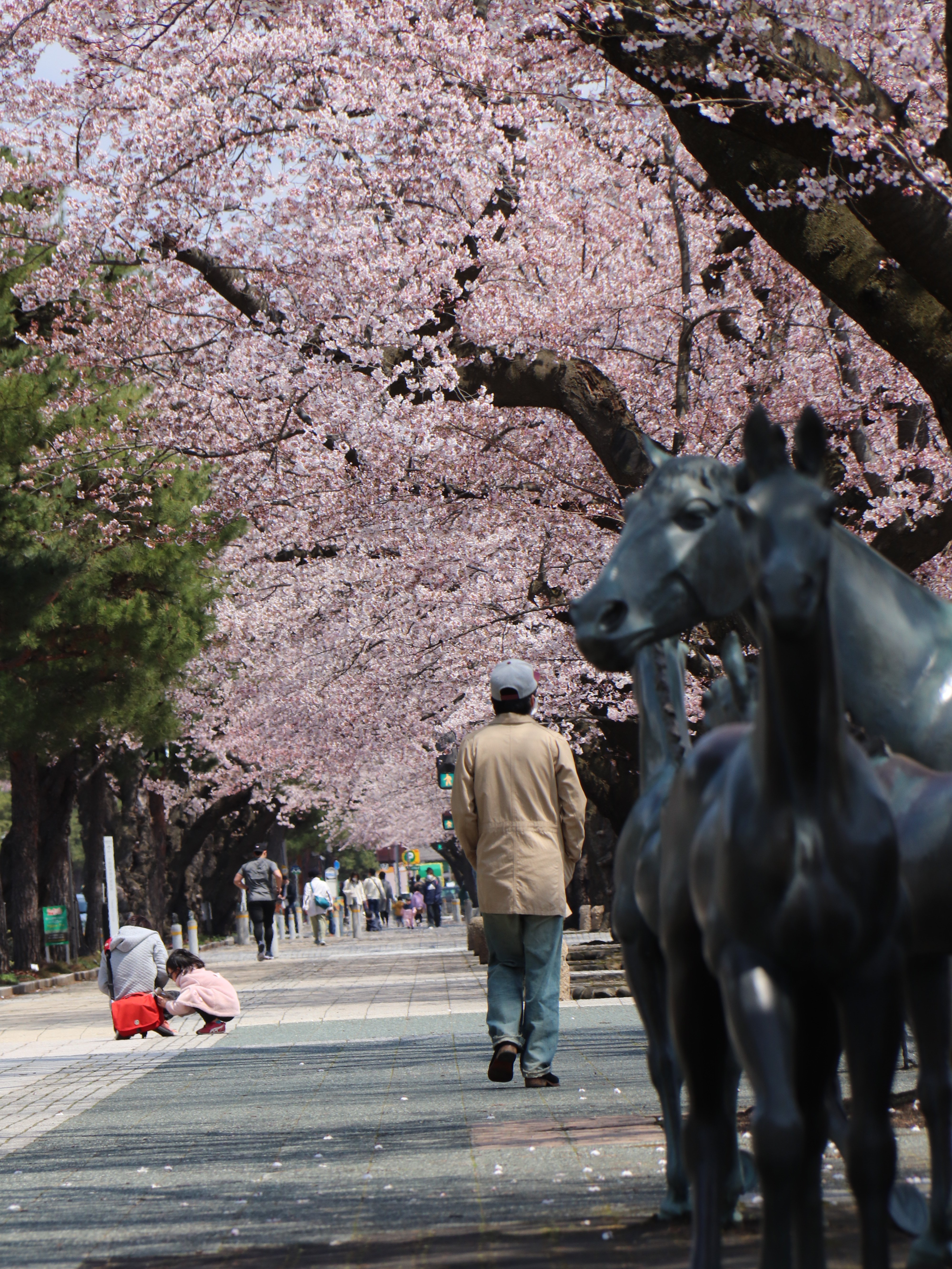 馬のモニュメントと桜